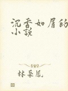 沉香如屑的原著小说