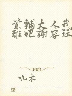 首辅大人我们和离吧谢容珏封面
