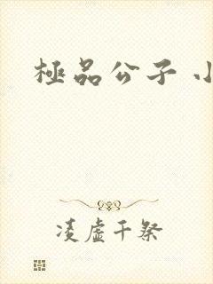 极品公子 小说