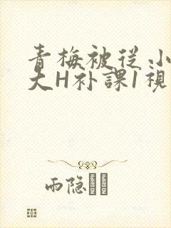 青梅被从小摸到大H补课1视频