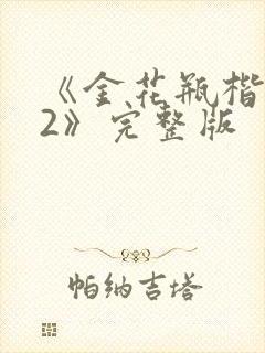 《金花瓶楷梅花2》完整版