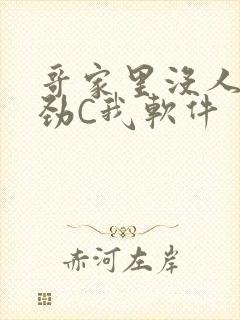 哥家里没人使点劲C我软件