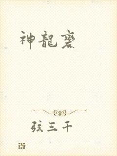 神龙变封面