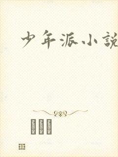 少年派小说