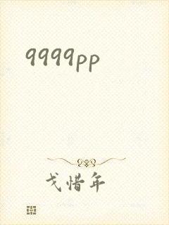 9999pp封面
