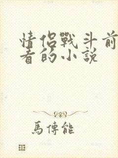情侣战斗前适合看的小说