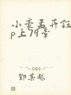 小豪孟卉钰慧三p上79章