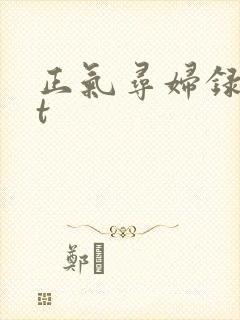 正气寻妇录txt