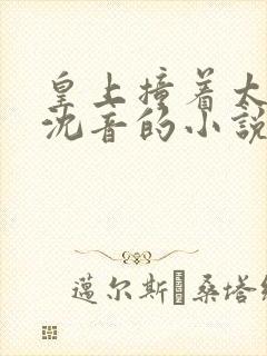 皇上撞着太子妃沈音的小说叫什么