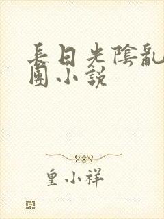 长日光阴乱作一团小说