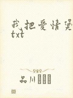 我把爱情煲成汤txt