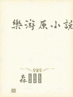 乐游原小说封面