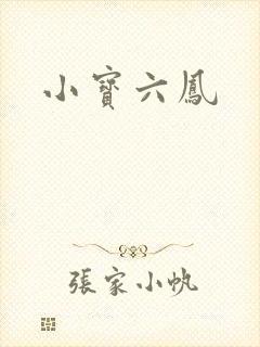 小宝六凤