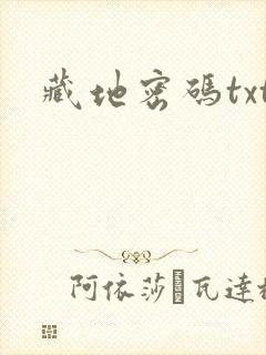 藏地密码txt封面