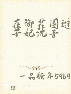 在御花园进入太子妃沈音