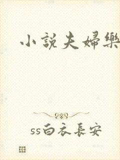 小说夫妇乐园封面
