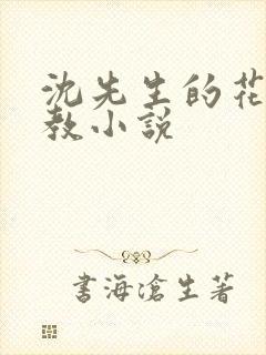 沈先生的花式管教小说