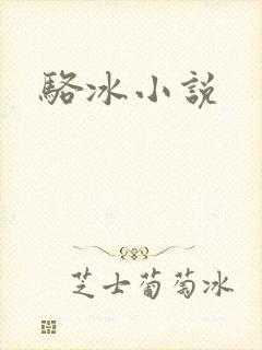 骆冰小说