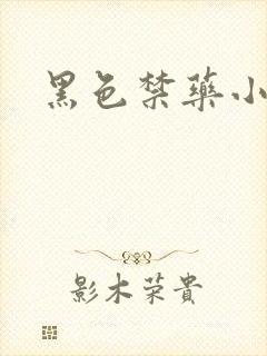 黑色禁药小说