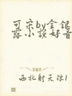 可宋by金银花露小说好看吗