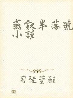 燕钗半落琥珀糖小说
