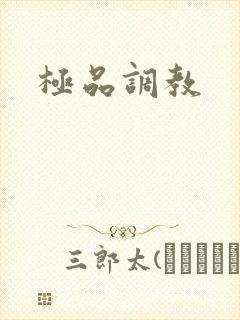 极品调教封面
