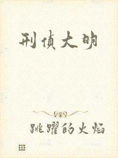 刑侦大明