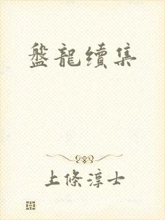 盘龙续集