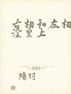 右相和左相一起淦皇上