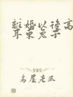离婚以后高干 耳东兔子封面