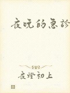 夜晚的急诊室2