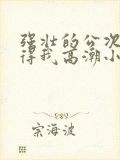 强壮的公次次弄得我高潮小说封面