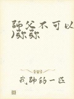 师父不可以(限)弥弥封面
