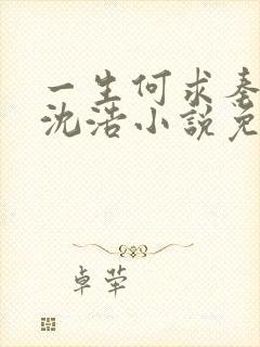 一生何求秦菲雪沈浩小说免费阅读全文封面