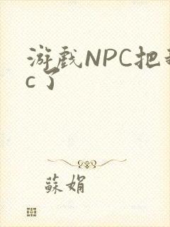 游戏NPC把我c了