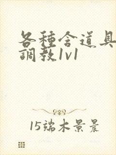 各种含道具高h调教1v1