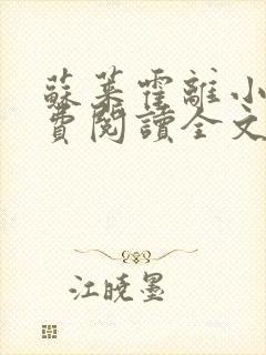 苏莱霍离小说免费阅读全文封面