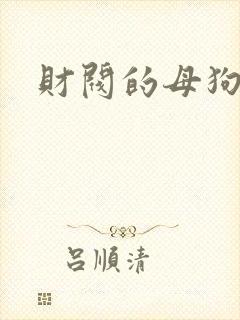 财阀的母狗们