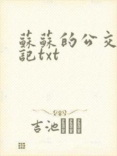 苏苏的公交车日记txt
