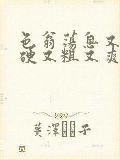 色翁荡息又大又硬又粗又爽电影