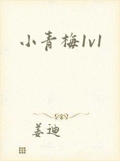 小青梅1v1