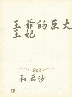 王爷的巨大进入王妃