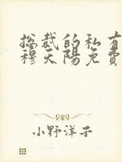总裁的私有宝贝穆天阳免费