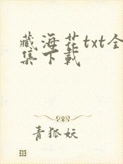 藏海花txt全集下载