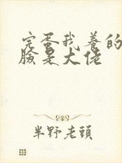完蛋我养的小白脸是大佬