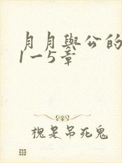 月月与公的激情1一5章封面