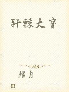 轩辕大宝