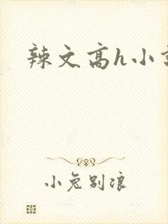 辣文高h小说封面