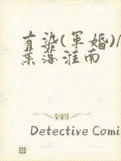有染(军婚)/叶落淮南