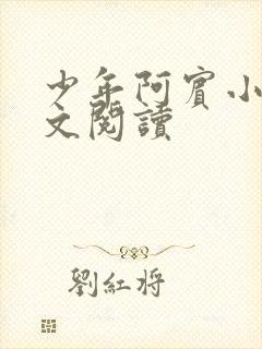 少年阿宾小说全文阅读封面
